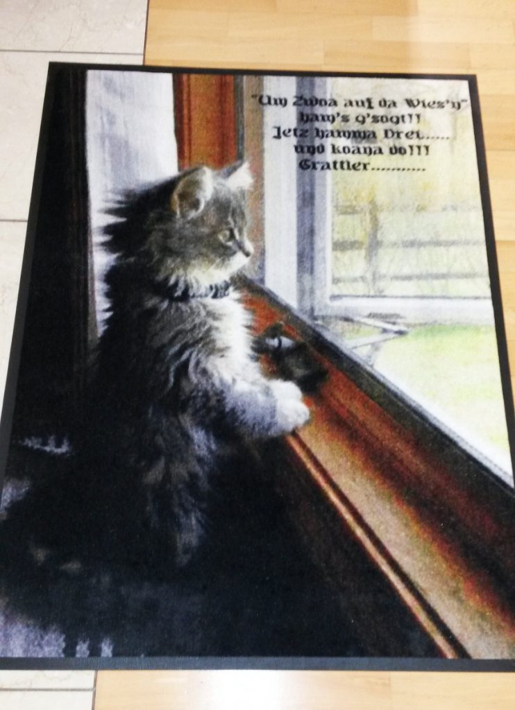 Waschbare Fotomatte Katze