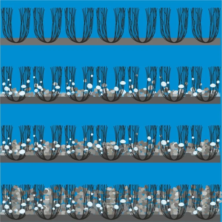 Querschnitt Schmutzfangmatte - Schäfer Matten