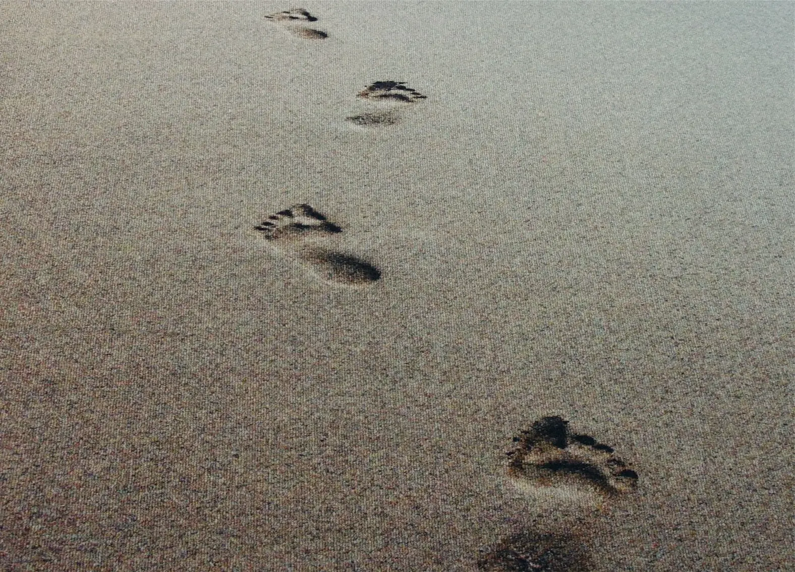 Werbe- und Promotionmatte - Hochwertige Schmutzfangmatte von Schäfer Matten